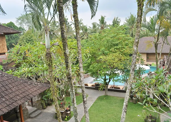 Jati 3 Ubud