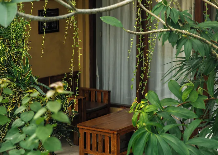 Hotel Jati 3 3*